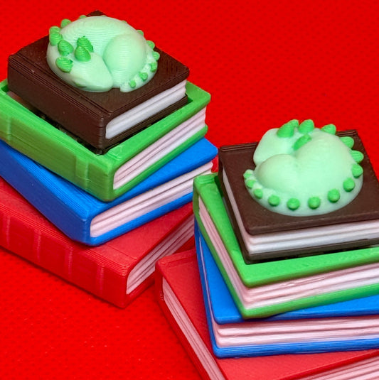 3D დაბეჭდილი წიგნები + დინოზავრი ქლიქერი ბრელოკი / 3D Printed Books + Dino Fidget Toy Keychain