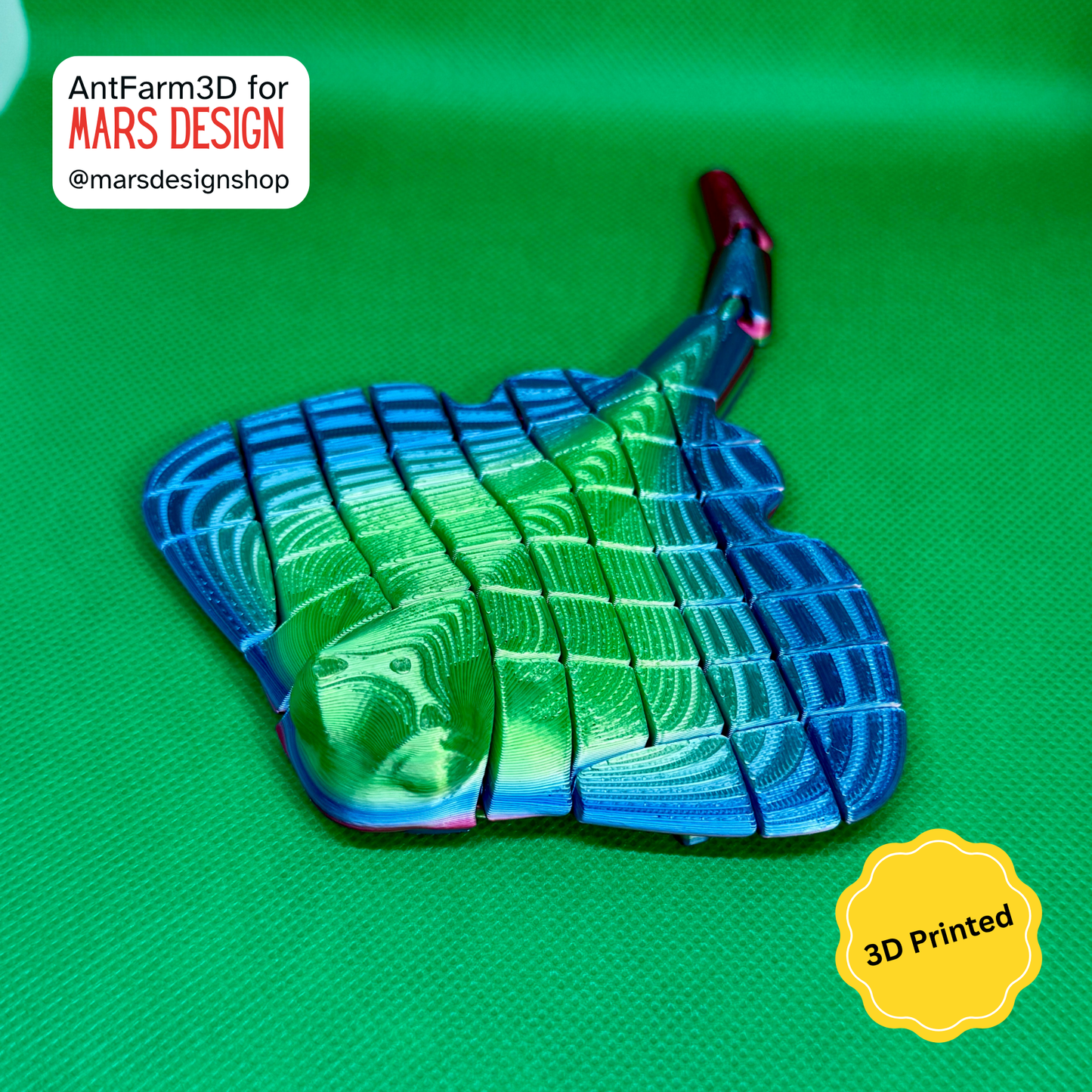 🌊 3D დაბეჭდილი ოკეანის ბინადარი მანტარეი /  3D Printed Manta Rey