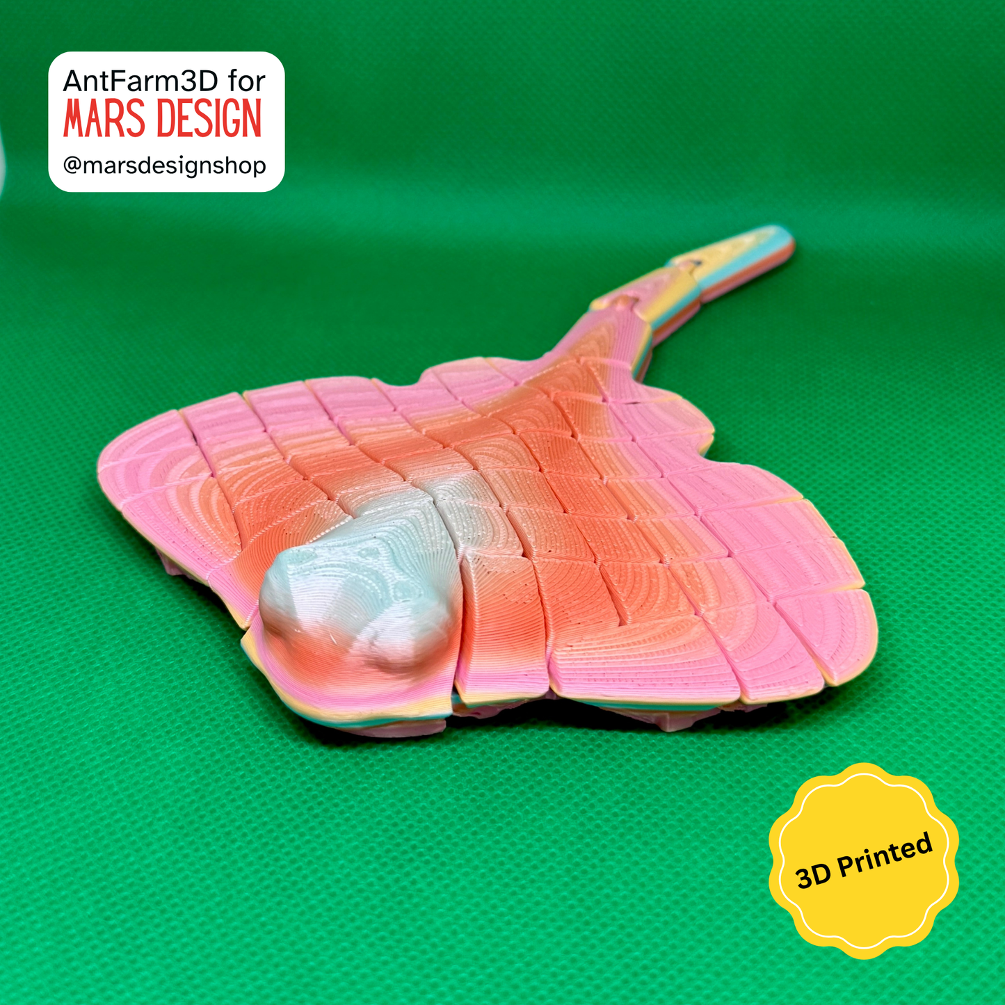 🌊 3D დაბეჭდილი ოკეანის ბინადარი მანტარეი /  3D Printed Manta Rey
