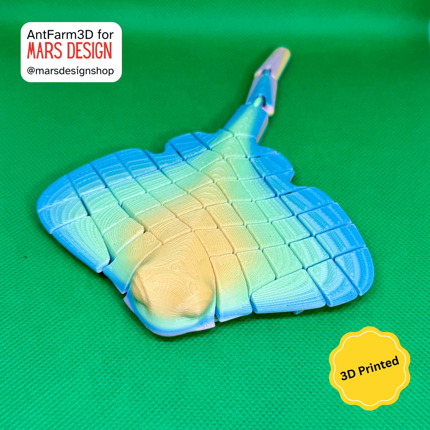 🌊 3D დაბეჭდილი ოკეანის ბინადარი მანტარეი /  3D Printed Manta Rey
