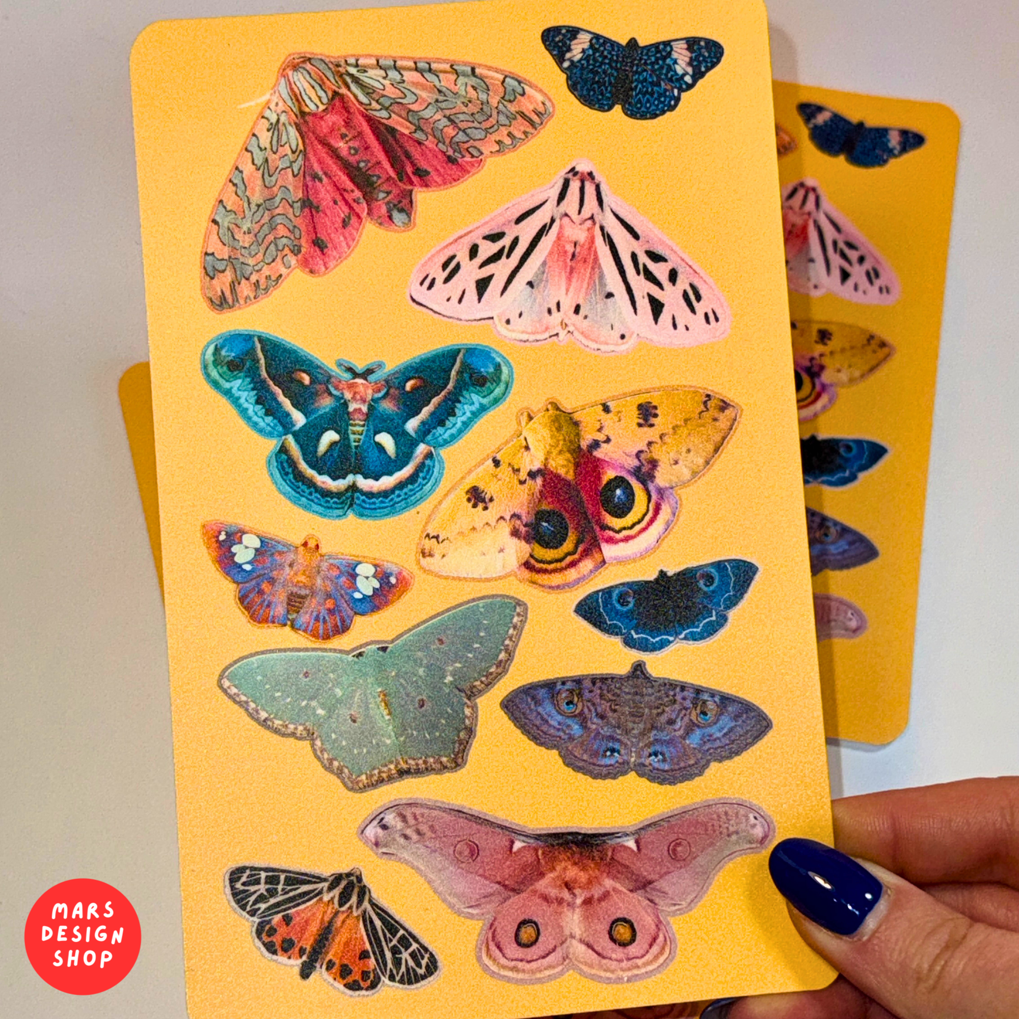 Butterflies vinyl Sticker Pack / პეპლები ვინილის ლამინირებული სტიკერების ნაკრები