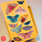 Butterflies vinyl Sticker Pack / პეპლები ვინილის ლამინირებული სტიკერების ნაკრები