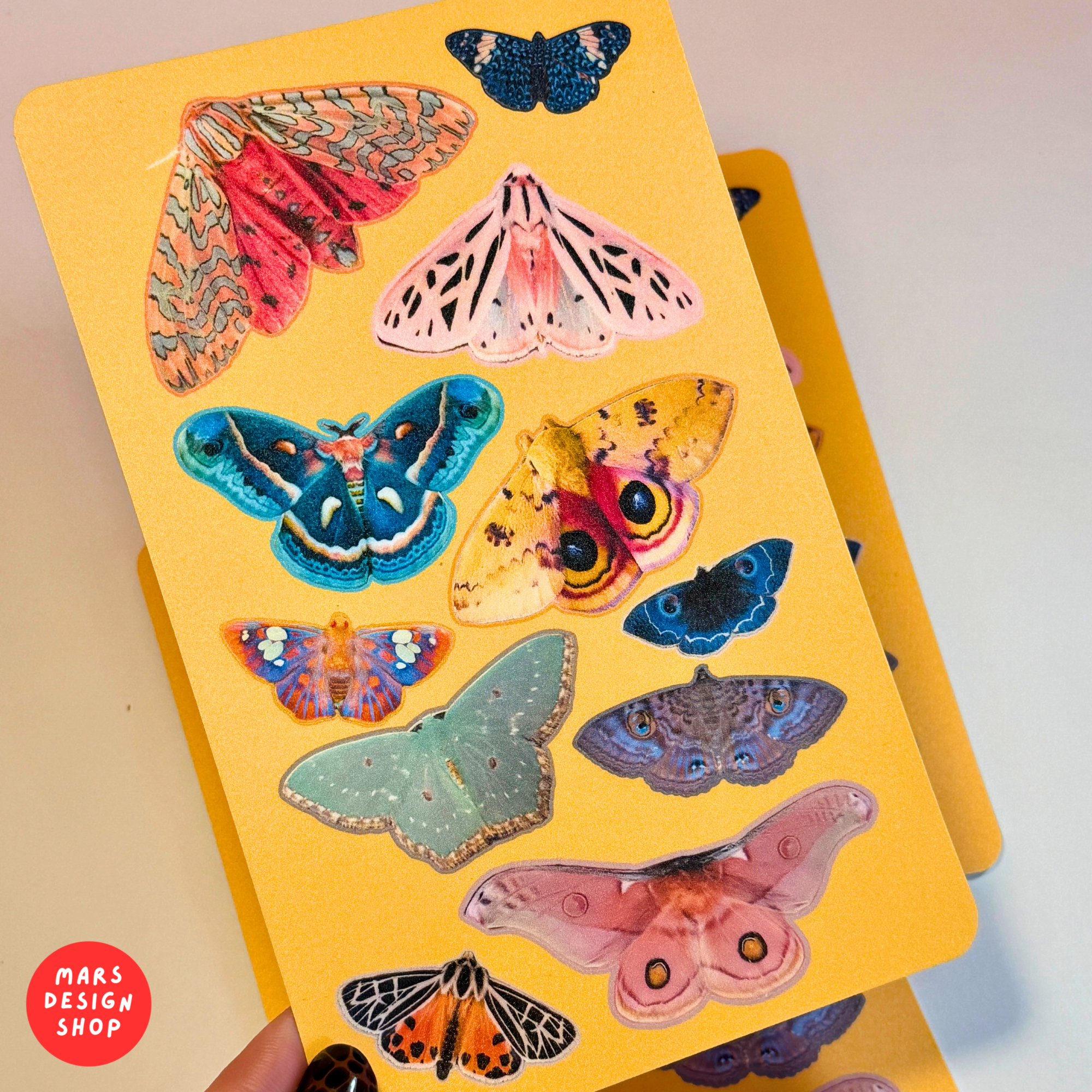 Butterflies vinyl Sticker Pack / პეპლები ვინილის ლამინირებული სტიკერების ნაკრები