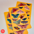 Butterflies vinyl Sticker Pack / პეპლები ვინილის ლამინირებული სტიკერების ნაკრები