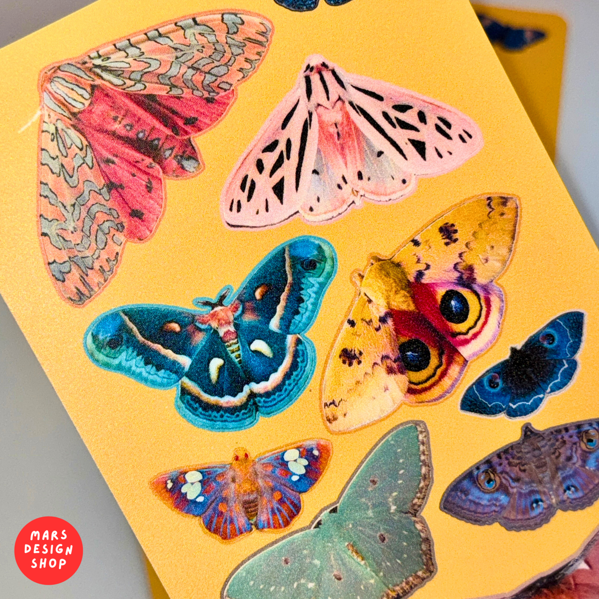 Butterflies vinyl Sticker Pack / პეპლები ვინილის ლამინირებული სტიკერების ნაკრები