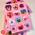 Flowers Violet vinyl Sticker Pack / ყვავილების იების ვინილის ლამინირებული სტიკერების ნაკრები