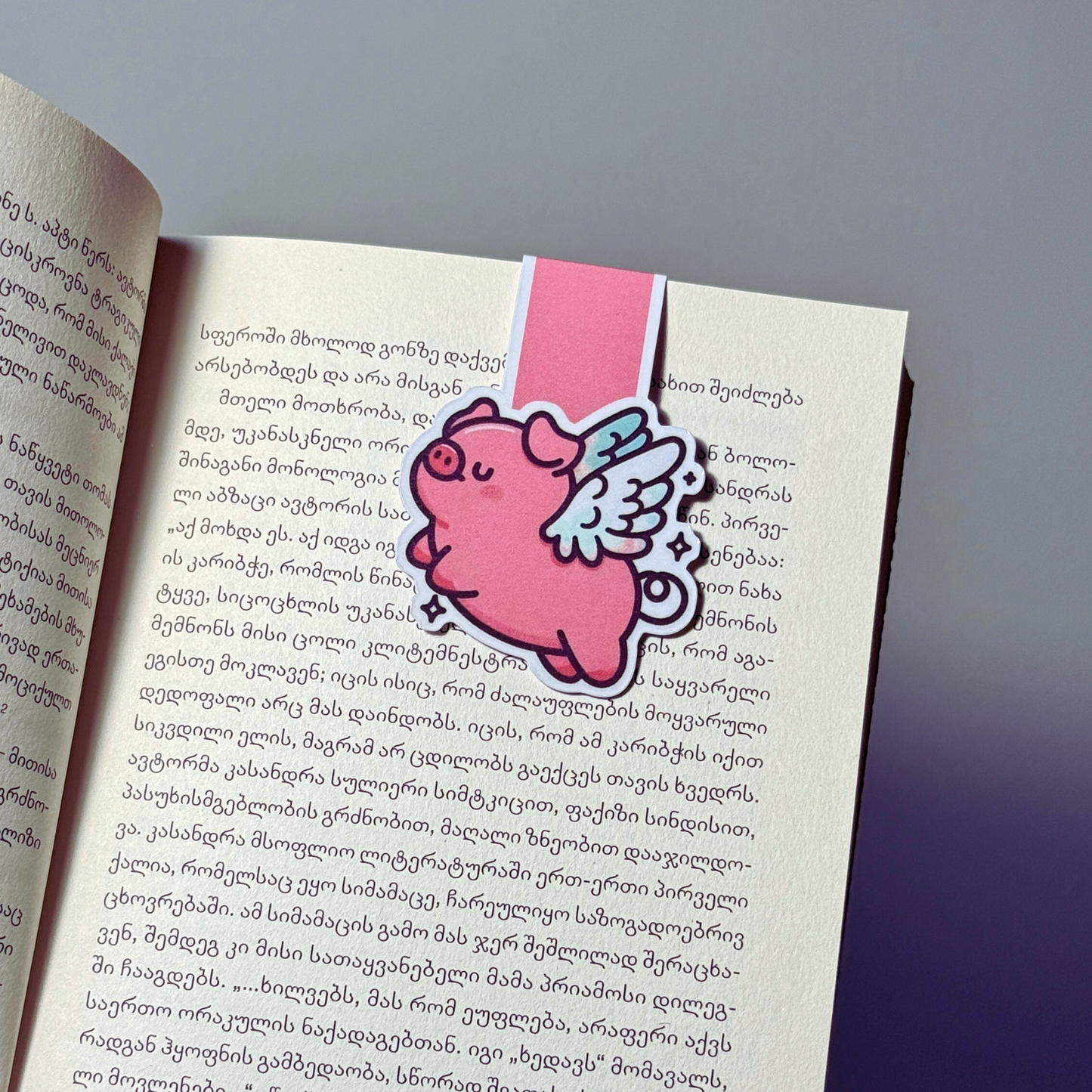 🔖 მაგნიტური სანიშნე "მფრინავი გოჭი" Magnetic Bookmark "Flying Piggy"