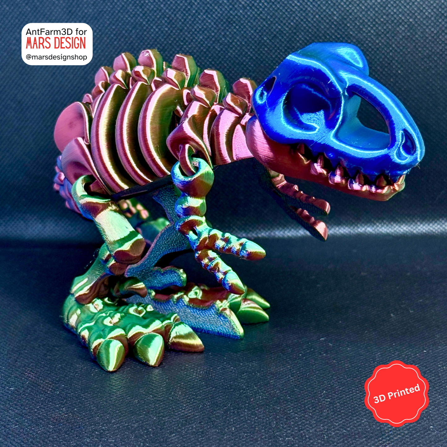 🦖 3D დაბეჭდილი ტირანოზავრი ჩინჩხი / 3D Printed Tyrannosaurus Skeleton