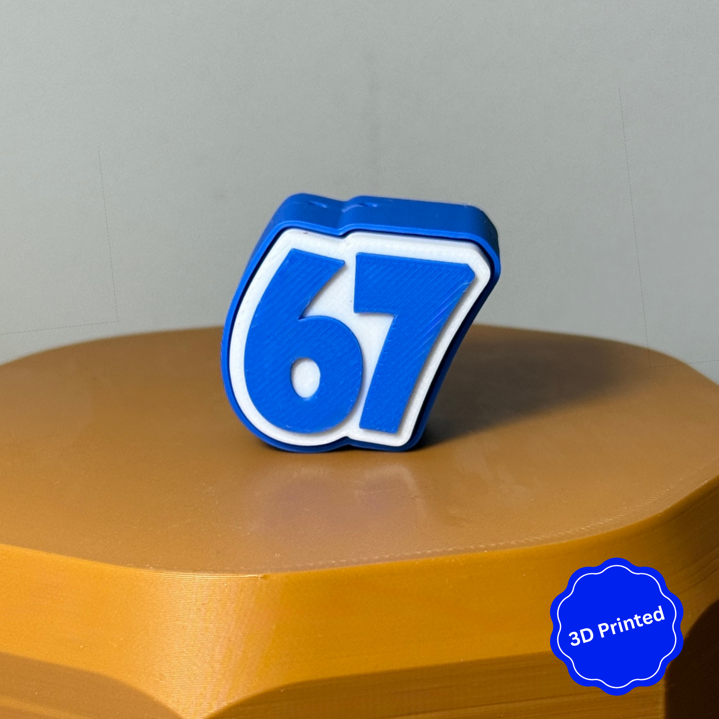 3D დაბეჭდილი 67 ქლიქერი ბრელოკი / 3D Printed 67 Fidget Toy Keychain