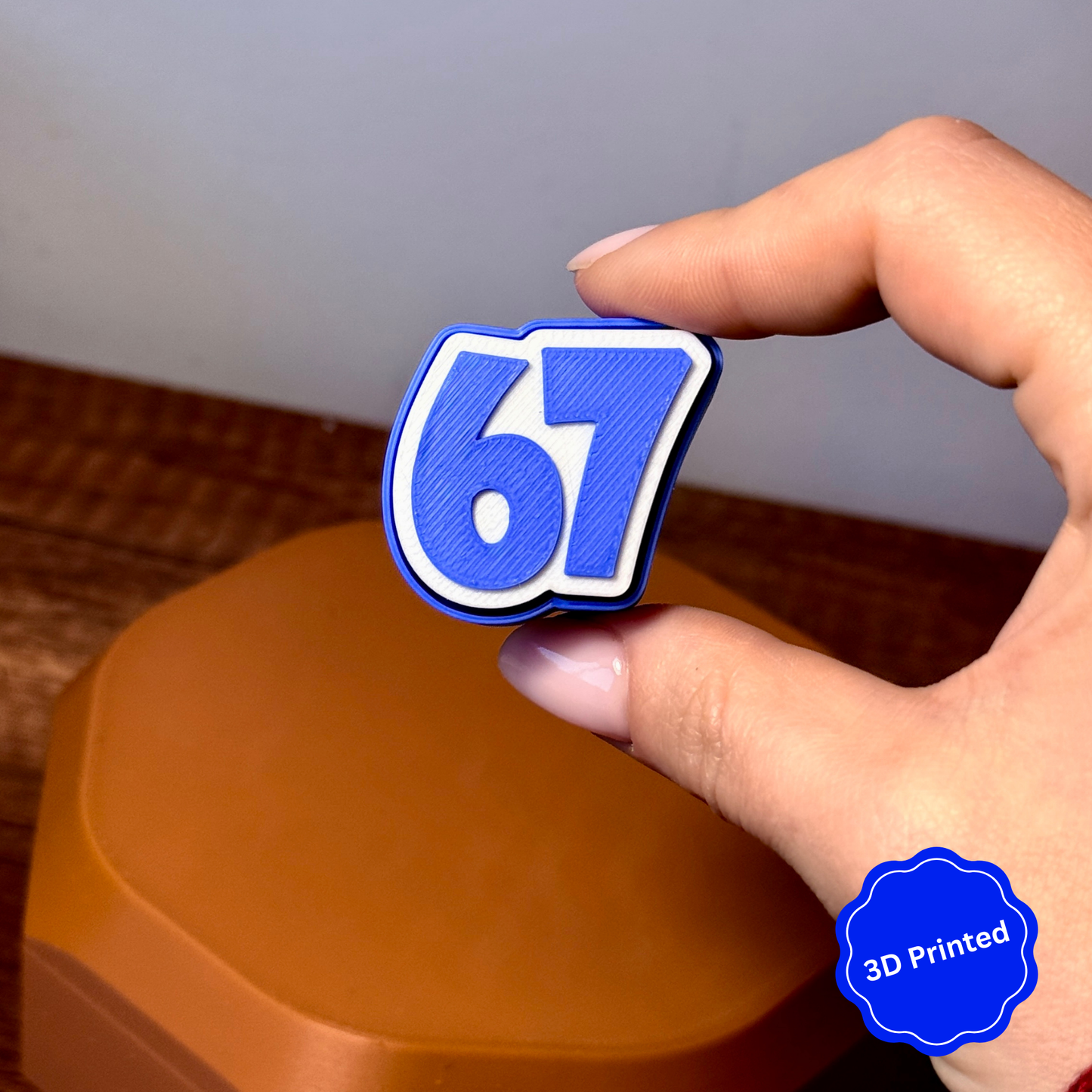 3D დაბეჭდილი 67 ქლიქერი ბრელოკი / 3D Printed 67 Fidget Toy Keychain