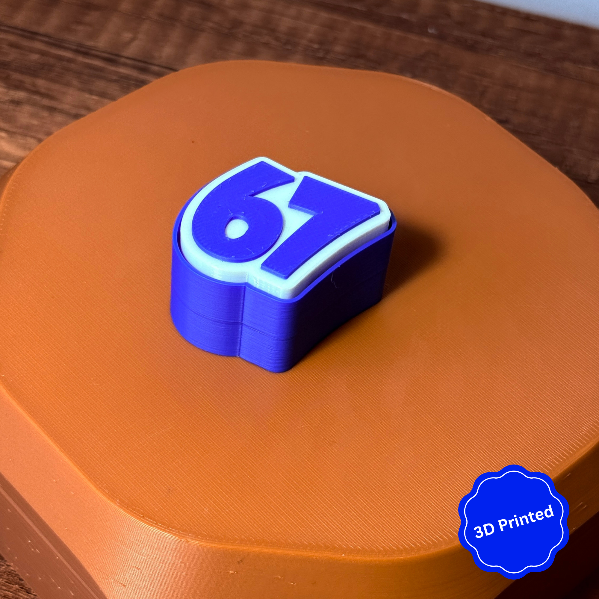 3D დაბეჭდილი 67 ქლიქერი ბრელოკი / 3D Printed 67 Fidget Toy Keychain